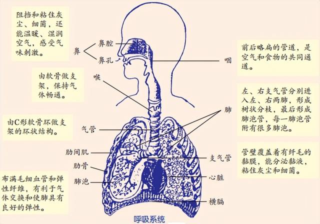 科学知识大全——228 / 作者:精力束台经 / 帖子ID:96185