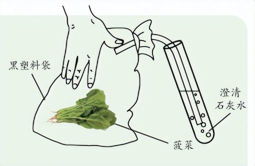 科学知识大全——879 / 作者:精力束台经 / 帖子ID:96185