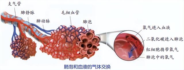 科学知识大全——186 / 作者:精力束台经 / 帖子ID:96185