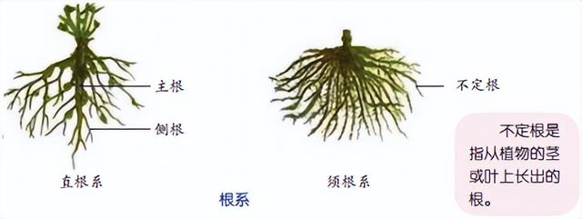科学知识大全——146 / 作者:精力束台经 / 帖子ID:96185