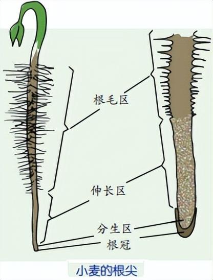 科学知识大全——285 / 作者:精力束台经 / 帖子ID:96185