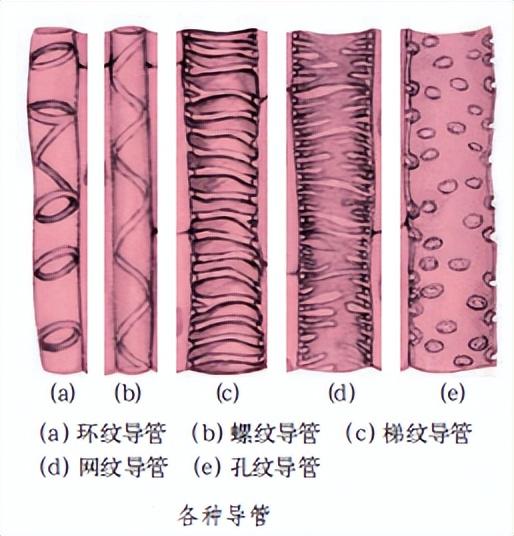 科学知识大全——81 / 作者:精力束台经 / 帖子ID:96185