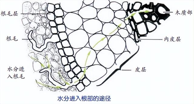 科学知识大全——723 / 作者:精力束台经 / 帖子ID:96185