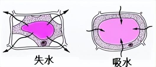 科学知识大全——96 / 作者:精力束台经 / 帖子ID:96185