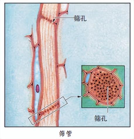 科学知识大全——431 / 作者:精力束台经 / 帖子ID:96185