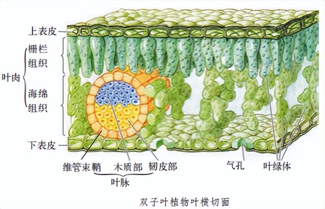 科学知识大全——88 / 作者:精力束台经 / 帖子ID:96185