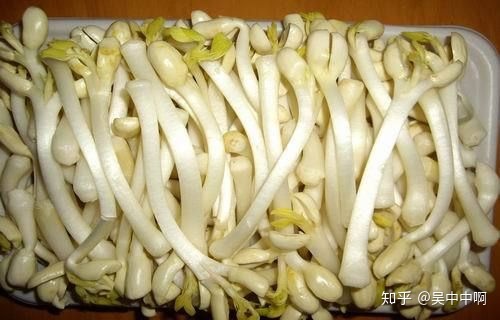 哪些科学知识颠覆了你的三观?609 / 作者:平凡7 / 帖子ID:96186