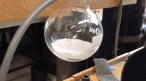 学校老师可能不会告诉你的10个科学知识，点开看个爽吧！747 / 作者:Ronan62054 / 帖子ID:96191