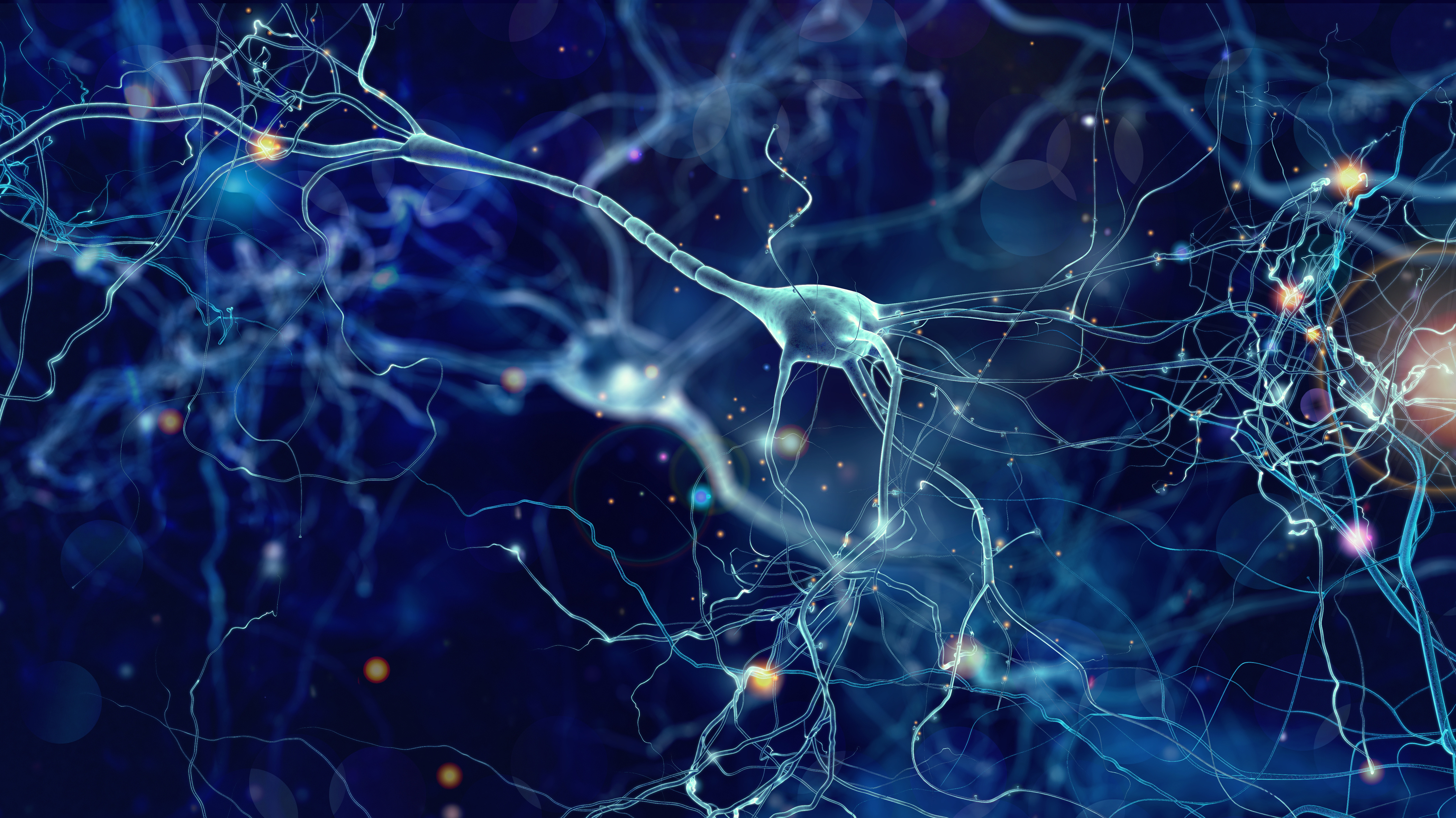 「生物科学」专业是一门什么样的专业？279 / 作者:爱喝水的姑娘 / 帖子ID:96224