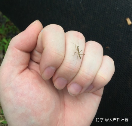 「生物科学」专业是一门什么样的专业？479 / 作者:姜小黑61 / 帖子ID:96224