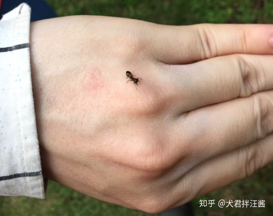 「生物科学」专业是一门什么样的专业？265 / 作者:姜小黑61 / 帖子ID:96224