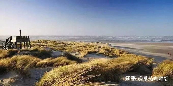 世界上最浪漫的国家——法国591 / 作者:断刺 / 帖子ID:96261