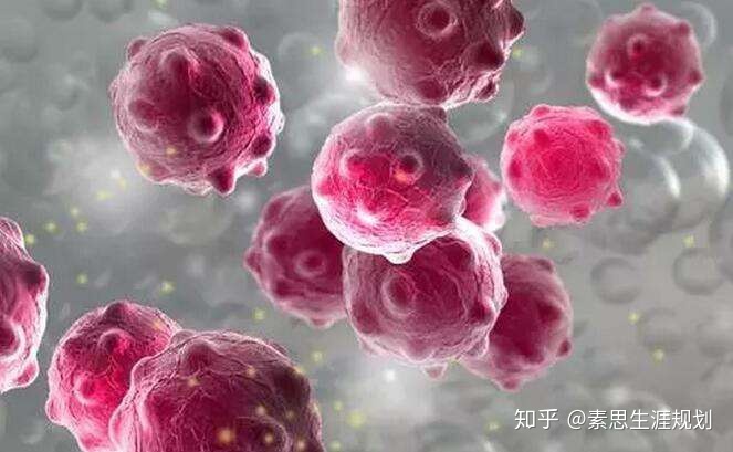 大学的生物学都学些什么？75 / 作者:尹双平刨 / 帖子ID:96335