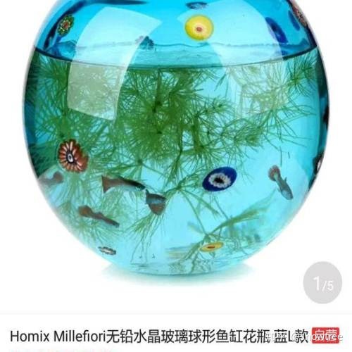 太阳系未来可以怎么样开发？260 / 作者:13335291348 / 帖子ID:96345