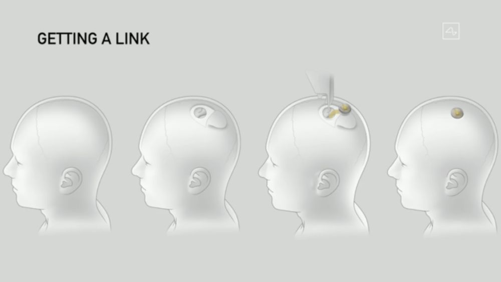 世界上研究神经科学（脑科学）最好的大学是哪个？23 / 作者:冰下的火圆 / 帖子ID:96377