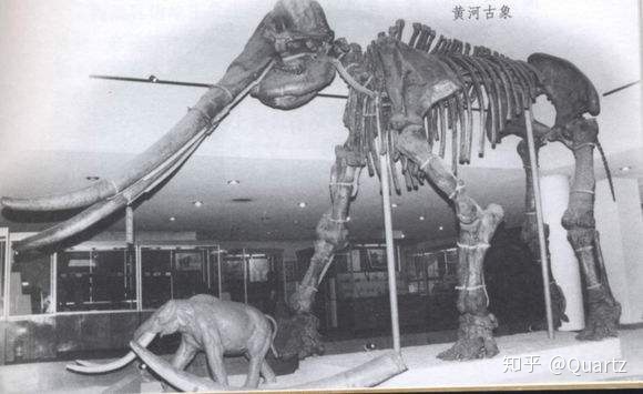 世界地球日，为了保护地球环境我们能做些什么？521 / 作者:风之语936 / 帖子ID:96395