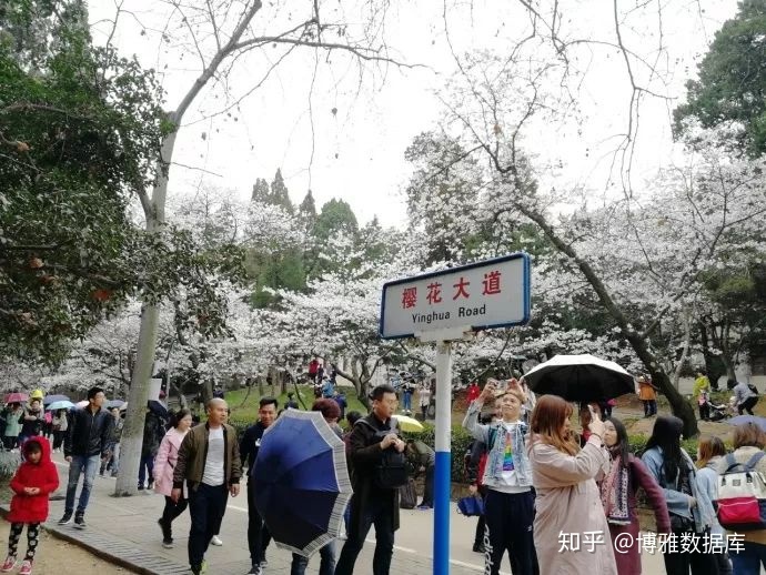 生物学学科排行榜（高校名单大全2020版）984 / 作者:美少女994 / 帖子ID:96415
