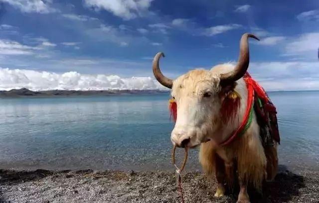 10大中国“世界之最”，尤其第8个，非常值得一去265 / 作者:陈国帆spp / 帖子ID:96447