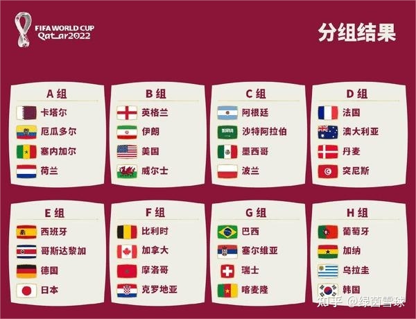2022年卡塔尔世界杯有哪些冷知识？以下这18点值得一看6 / 作者:落木萧萧329 / 帖子ID:96492