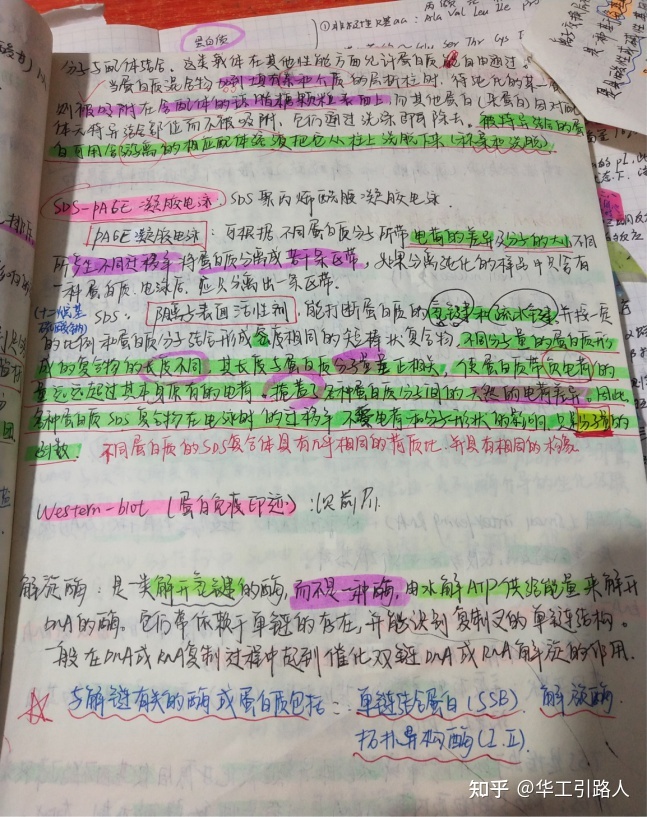 【经验谈】双非一本二战华工生物学专业，S学姐成功逆袭 ...171 / 作者:邹高清 / 帖子ID:96515