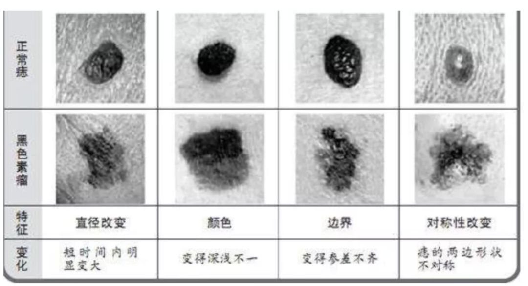 世界上都有哪些长相比较奇特的动物？137 / 作者:豆芽角角123 / 帖子ID:96579