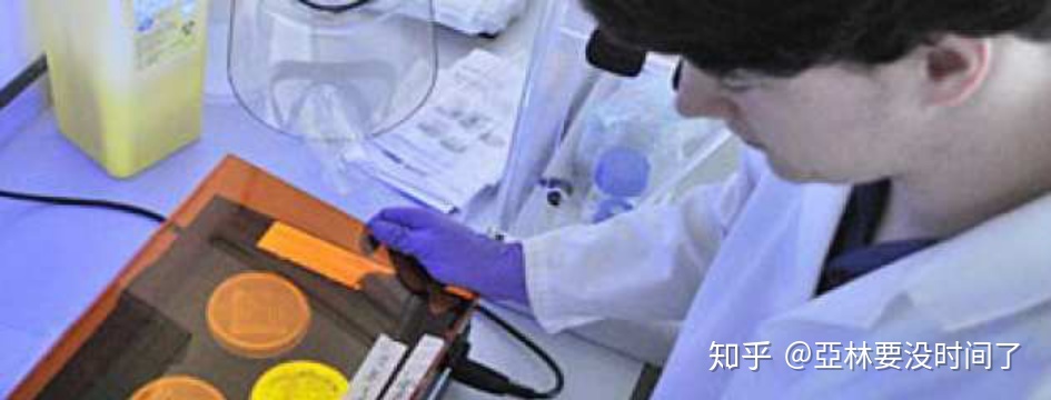 生物类专业解析324 / 作者:123458086 / 帖子ID:96584