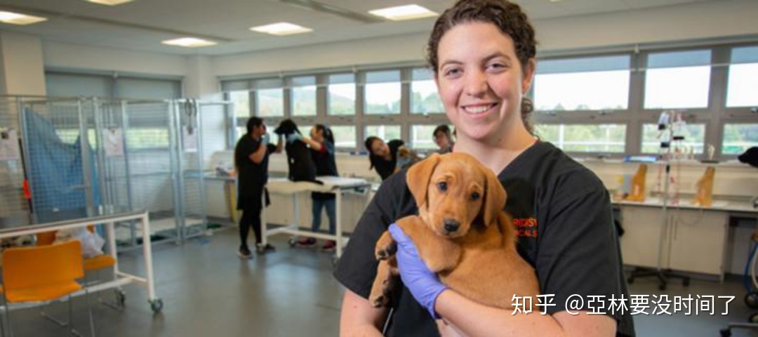 生物类专业解析590 / 作者:123458086 / 帖子ID:96584