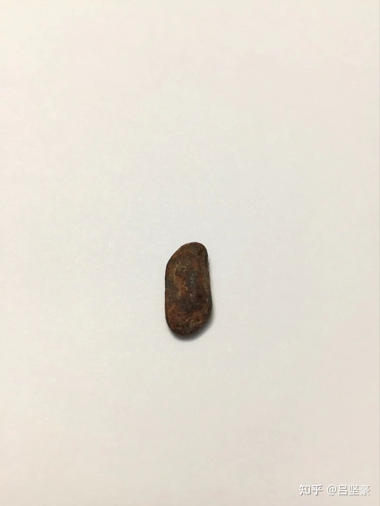 12 月 15 日傍晚杭州多地有人目击，天空有疑似陨石掉落 ...958 / 作者:深圳林妙可 / 帖子ID:96590