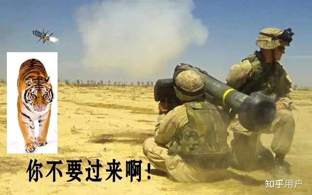 假如地球忽然出现八十亿头老虎会怎样？33 / 作者:宝贝不哭不t / 帖子ID:96594