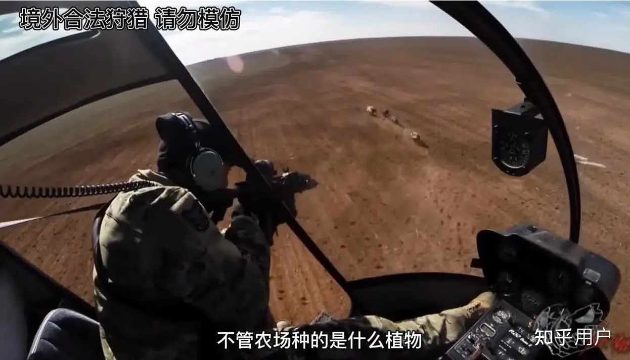 假如地球忽然出现八十亿头老虎会怎样？656 / 作者:宝贝不哭不t / 帖子ID:96594