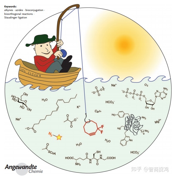 化学生物学是一门怎样的学科？551 / 作者:123457468 / 帖子ID:96595