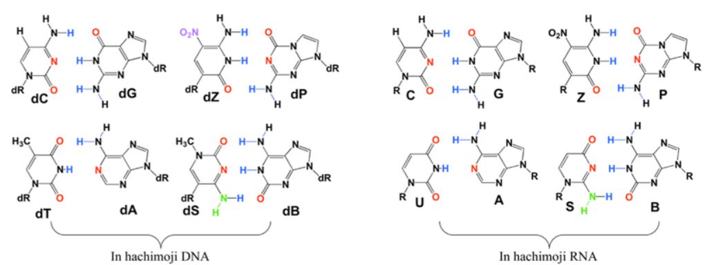 化学生物学是一门怎样的学科？674 / 作者:123457468 / 帖子ID:96595