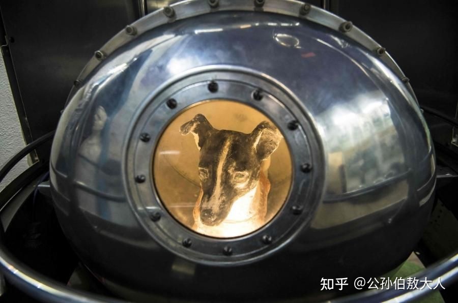 像狗一样流浪太空771 / 作者:123457929 / 帖子ID:96606