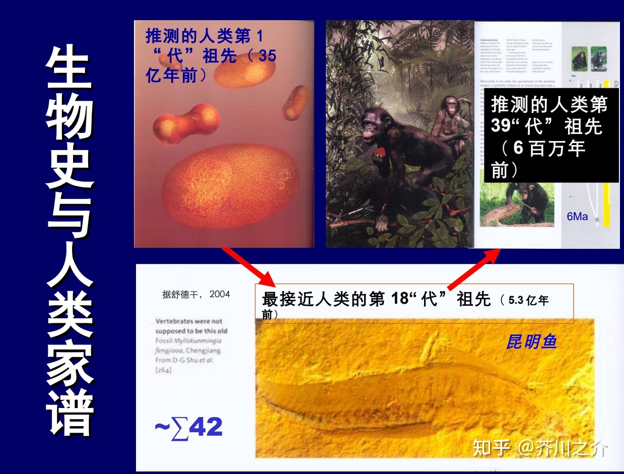 怎样才能够娶到地球?289 / 作者:天使798 / 帖子ID:96607