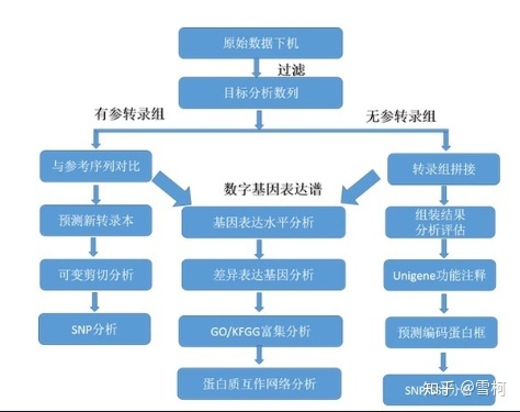 生物信息学入门必看的87个名词：每个都要记牢138 / 作者:陈国帆spp / 帖子ID:96608