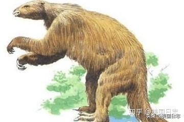 带你穿越到一百万年前的这个世界413 / 作者:水银泄地邻 / 帖子ID:96701