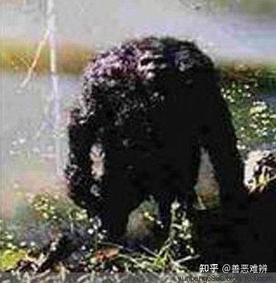 中国惨遭封杀的20件神秘大事件902 / 作者:忧郁草民乜 / 帖子ID:96840
