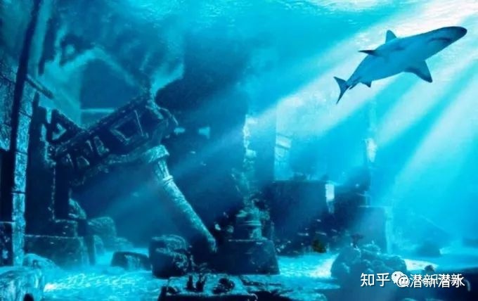 Real潜新科普|世界海洋十大未解之谜，让我们一起探索海洋 ...794 / 作者:123457647 / 帖子ID:96844