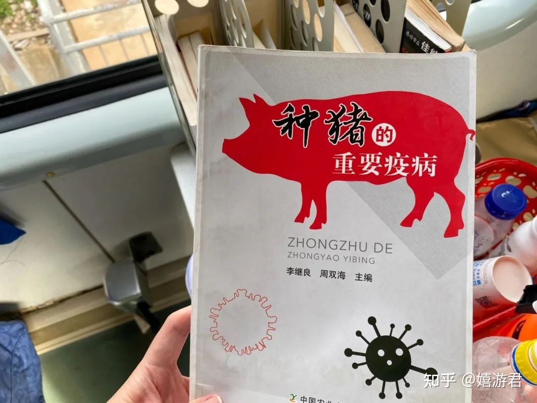 旅途中你曾拍下过哪些有意思的地铁、公交、火车站？104 / 作者:顺天愚夫 / 帖子ID:96925