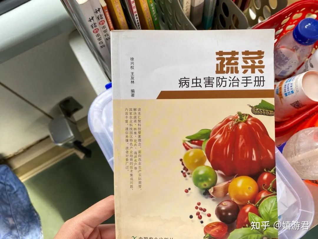 旅途中你曾拍下过哪些有意思的地铁、公交、火车站？853 / 作者:顺天愚夫 / 帖子ID:96925