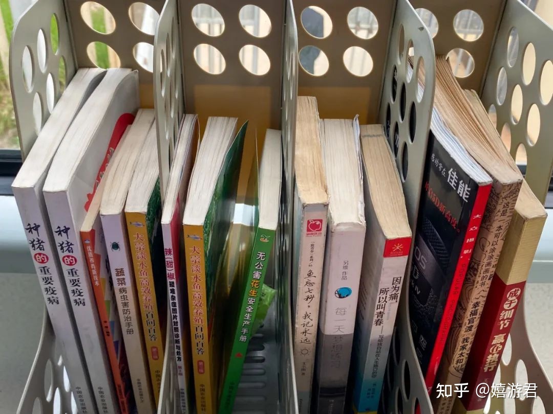 旅途中你曾拍下过哪些有意思的地铁、公交、火车站？914 / 作者:顺天愚夫 / 帖子ID:96925
