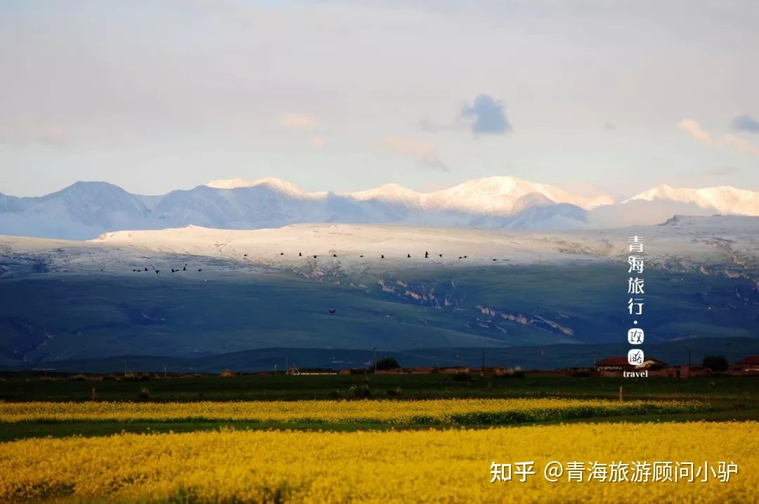 【青海旅游攻略】39个青海之最，你去过几个？585 / 作者:宋751 / 帖子ID:96942