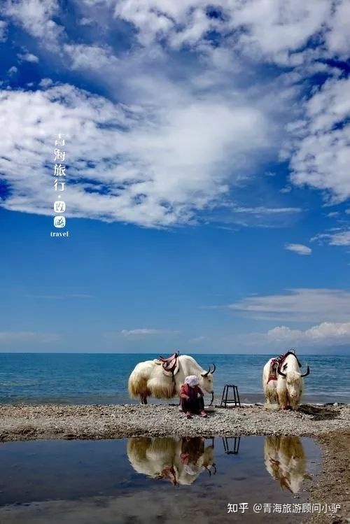 【青海旅游攻略】39个青海之最，你去过几个？173 / 作者:宋751 / 帖子ID:96942