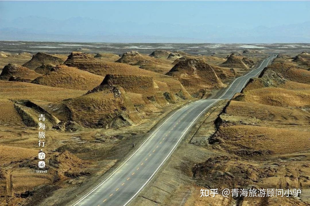 【青海旅游攻略】39个青海之最，你去过几个？772 / 作者:宋751 / 帖子ID:96942