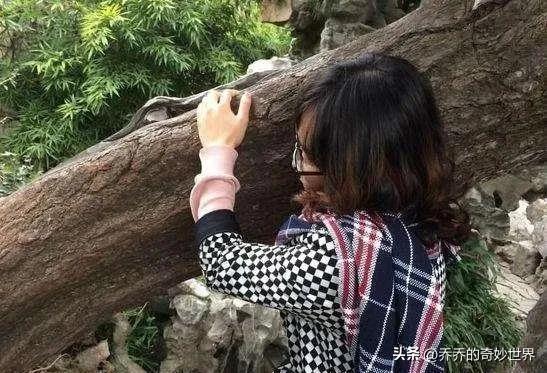 世界上最轻的树、生长最快的树，一年长10米~轻木，比火柴还轻442 / 作者:版砖批发握 / 帖子ID:97053