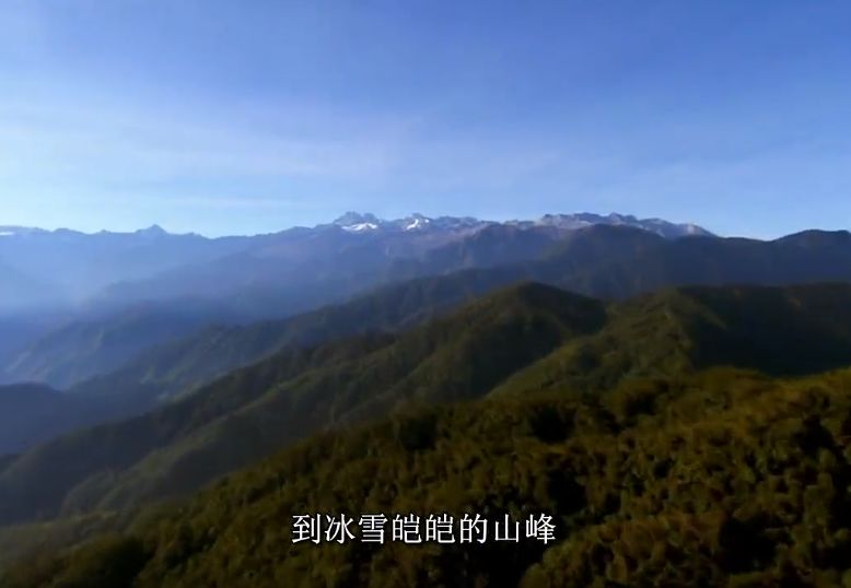 世界上相对高度最高的山？912 / 作者:你时决提 / 帖子ID:97055