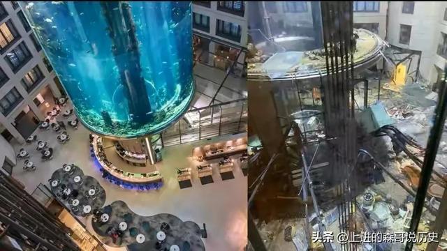 德国柏林：世界上最大的鱼缸爆裂，2600条鱼全死了！30 / 作者:火柴200502 / 帖子ID:97057