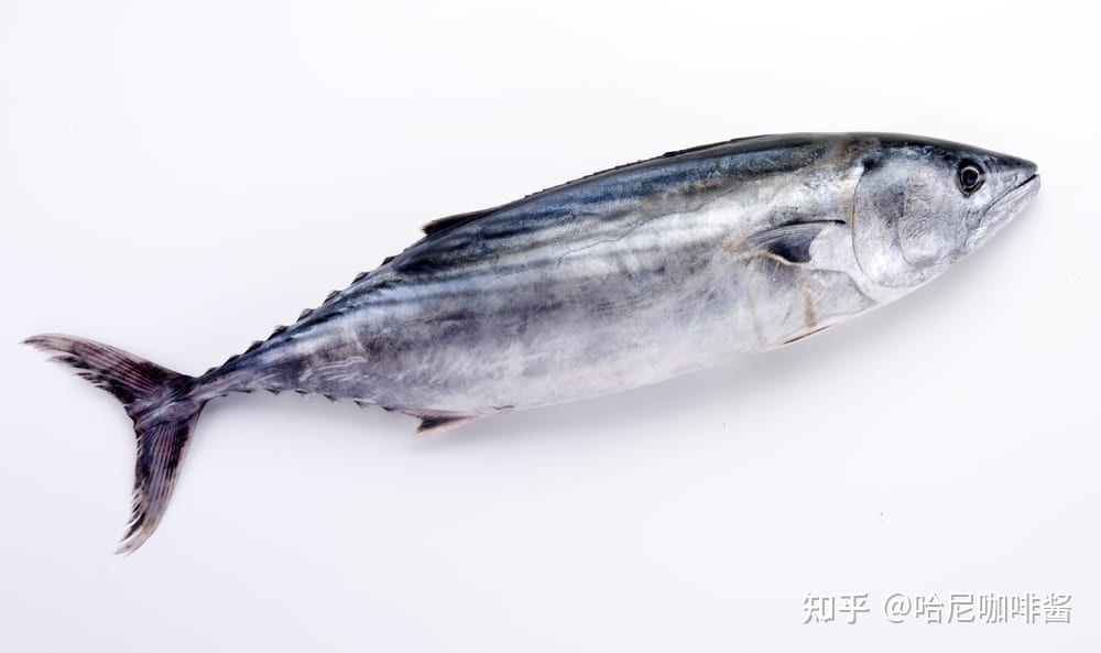 世界上最奇怪的23种食物414 / 作者:火柴200502 / 帖子ID:97120