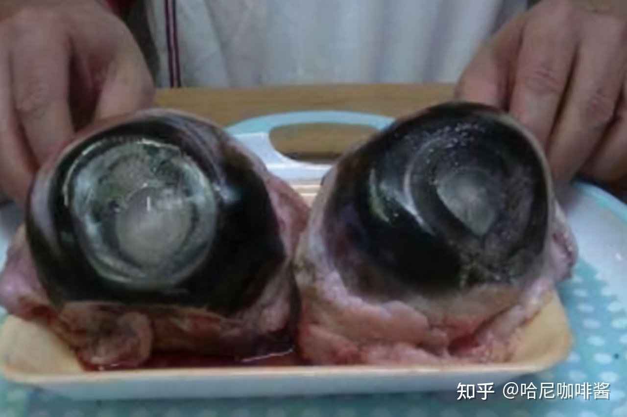 世界上最奇怪的23种食物233 / 作者:火柴200502 / 帖子ID:97120
