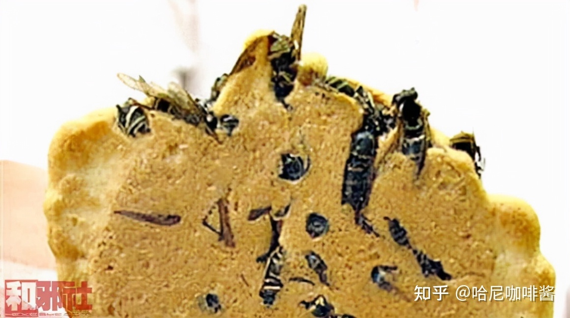 世界上最奇怪的23种食物722 / 作者:火柴200502 / 帖子ID:97120